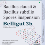 BELLIGUT 3B